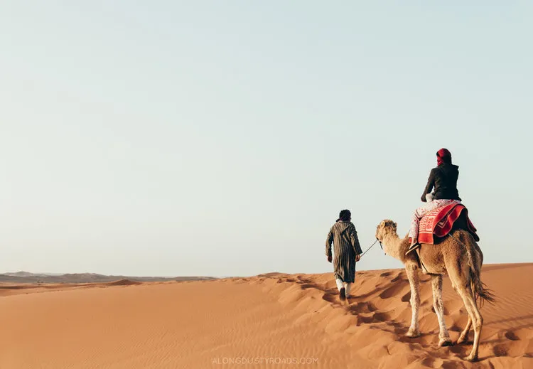 Travelers riding camels in Sahara Desert Merzouga