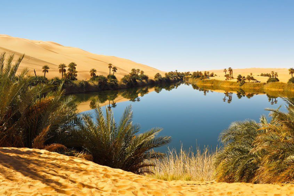 Morocco Desert Tours | Best Sahara Desert Tour Morocco 2026