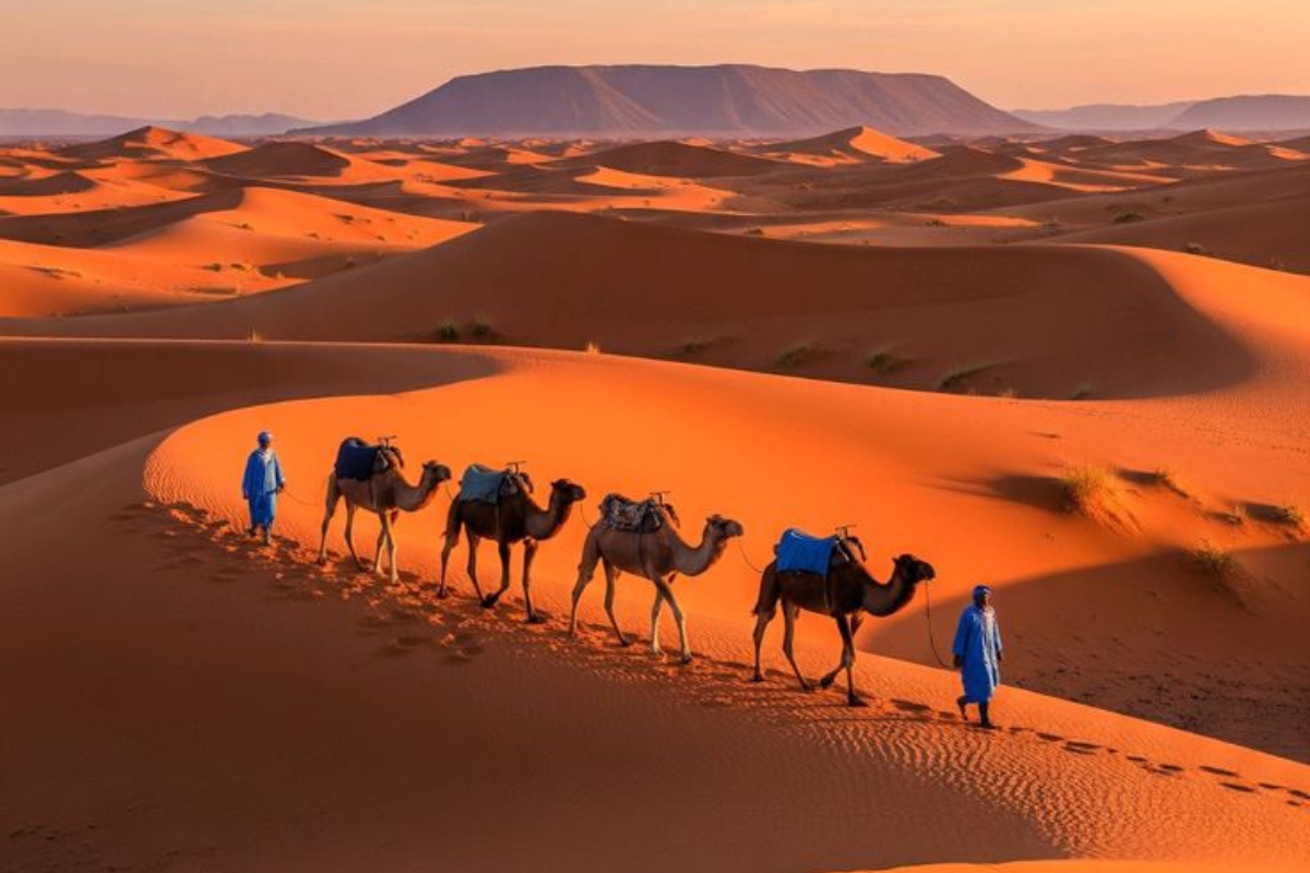 Morocco Desert Tours | Best Sahara Desert Tour Morocco 2026