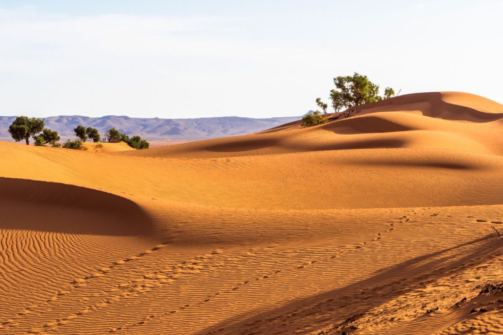 Morocco Adventure Tours: 12 Amazing Desert & Cultural Experiences in 2026