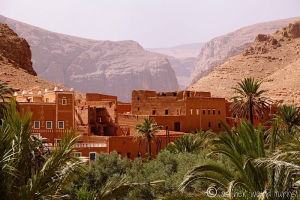 10 Thrilling Reasons to Experience Todra Gorge Rock Climbing in Morocco