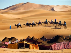 2 Days Fes to Merzouga Desert Tour: The Ultimate Sahara Adventure Guide 2026