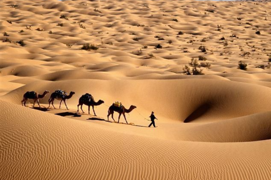 The Ultimate Guide to the Best Sahara Desert Tour Morocco Has to Offer