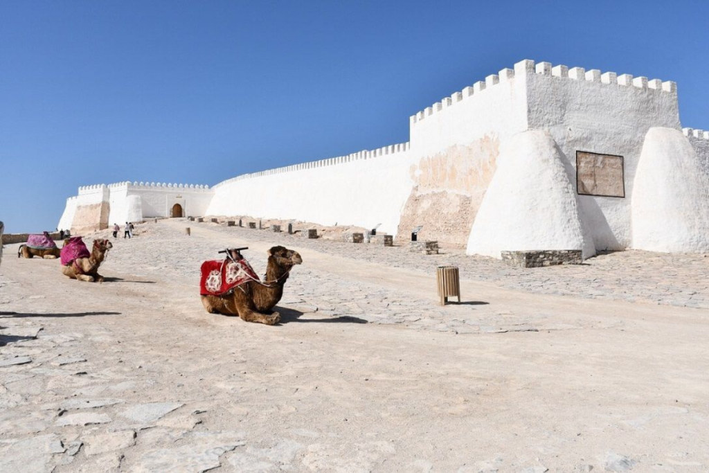 Agadir city tour