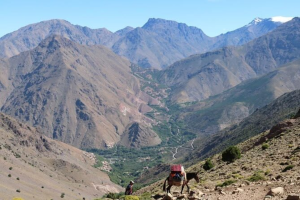 Discover the Incredible 2-Day Toubkal Trek from Marrakech: Summit North Africa’s Highest Peak (4167m)